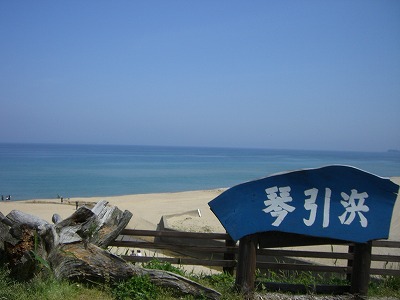 琴引き浜