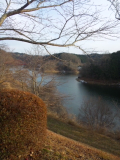 120118_155009.jpg