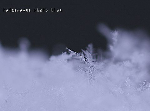 雪の花