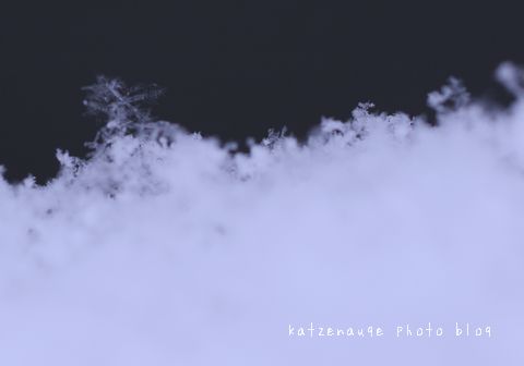 雪の結晶