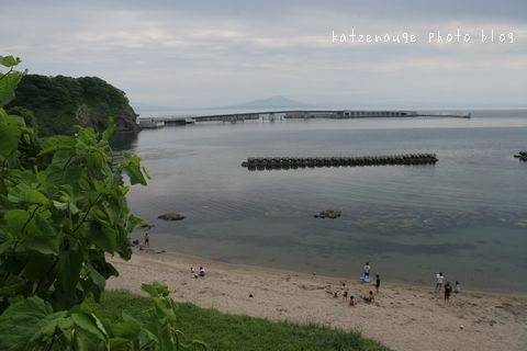 電信浜
