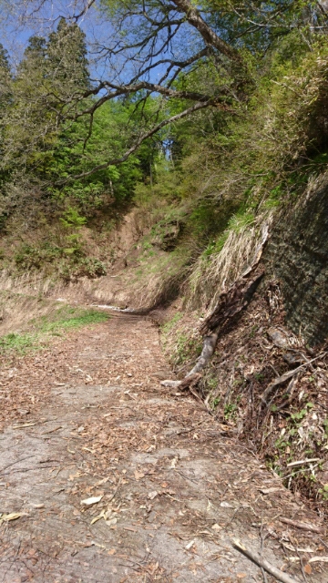 20170511101056.jpg