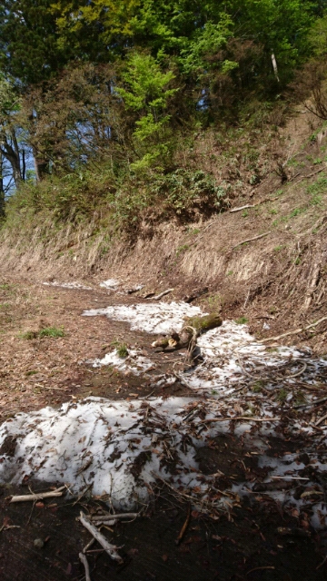 20170511101112.jpg