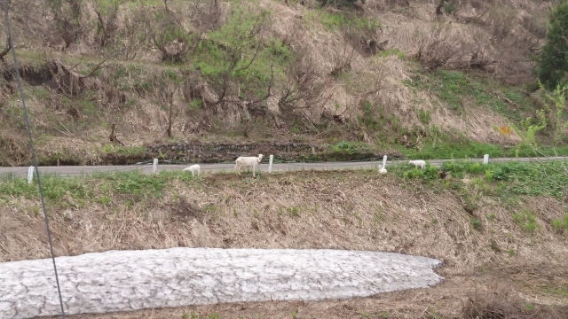 20170512072102.jpg