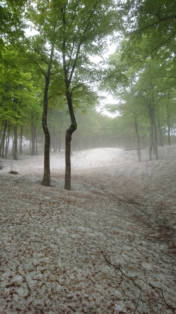 20170518111920.jpg