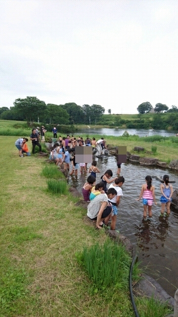 20170715105936.jpg
