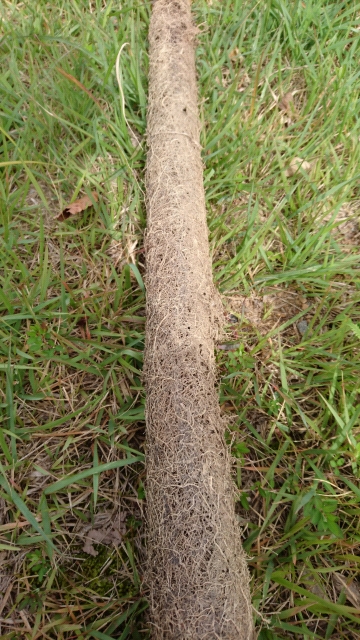 20170919101503.jpg