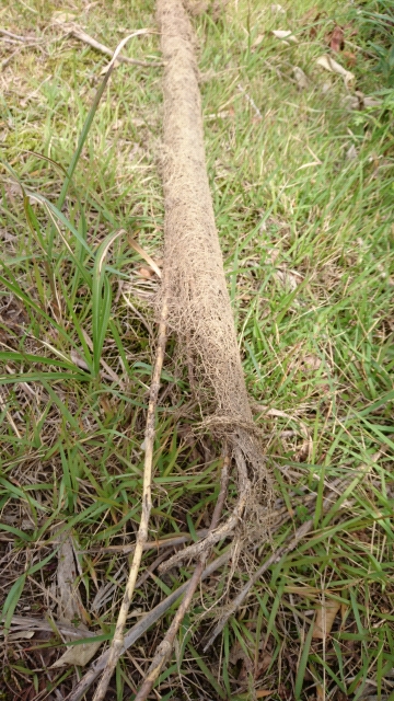 20170919101526.jpg