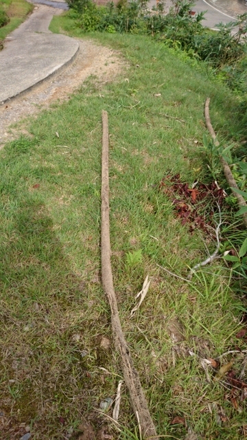 20170919095623.jpg