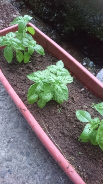 20180516100349.jpg