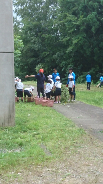 20180701123400.jpg