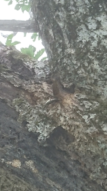 20180724115054.jpg