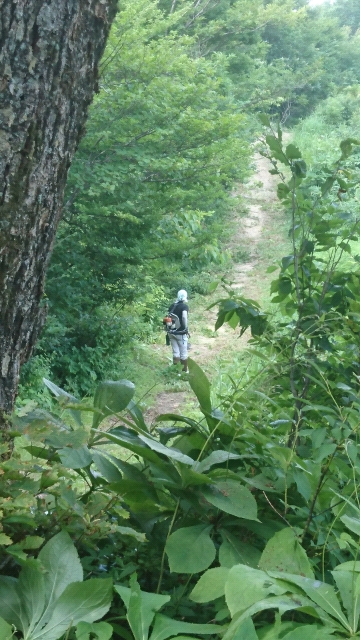 20180724113041.jpg
