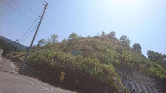 20180804104615.jpg