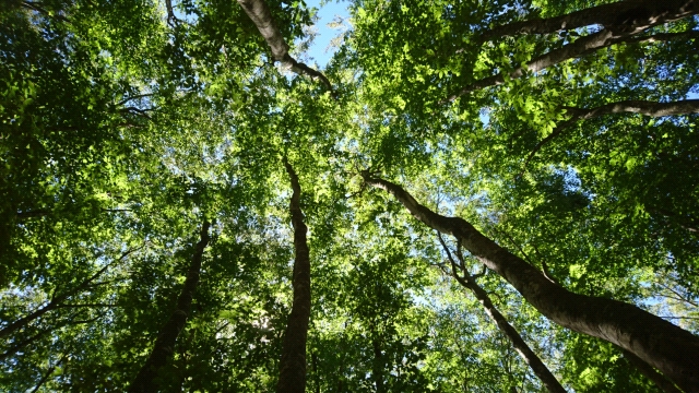 20180822115207.jpg