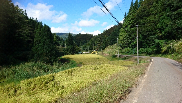 20180923111423.jpg
