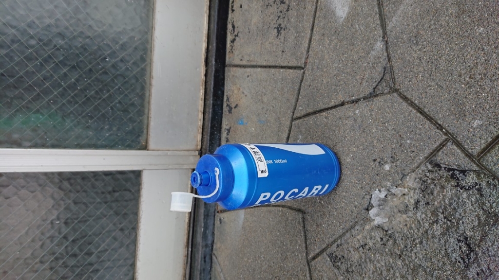 DSC_3610.JPG
