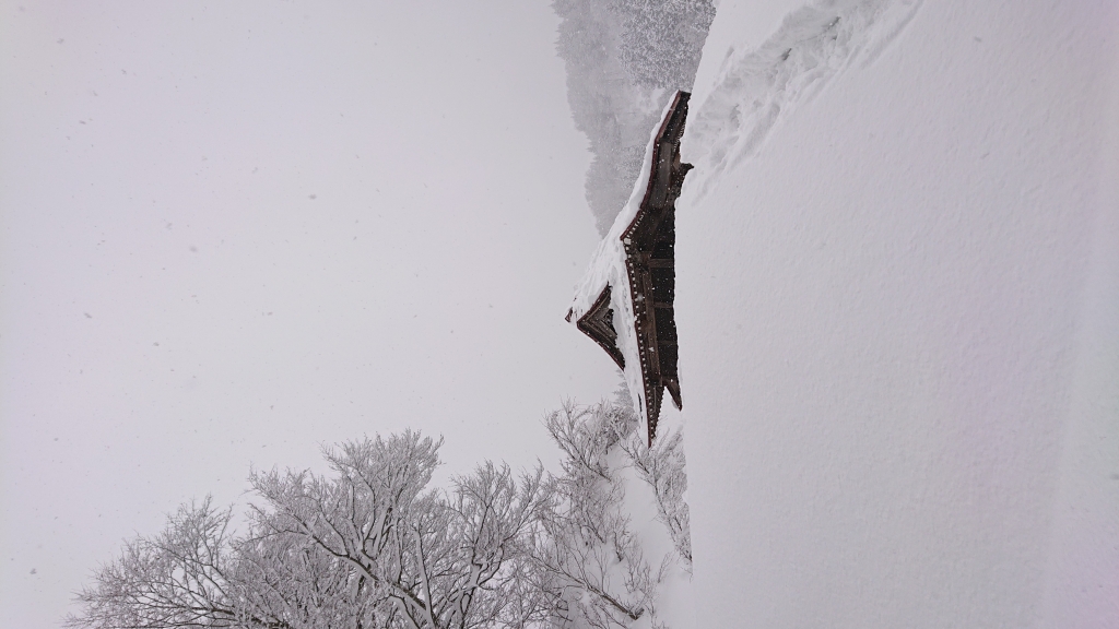 _20190106_132711.JPG