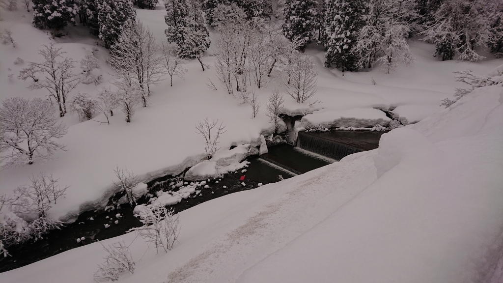 DSC_3786.JPG