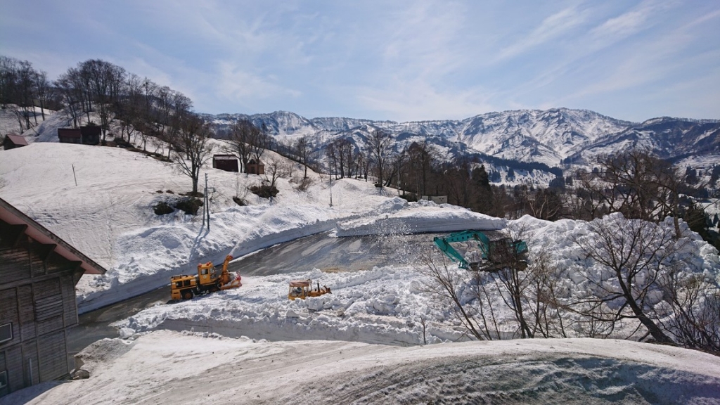 DSC_3934.JPG