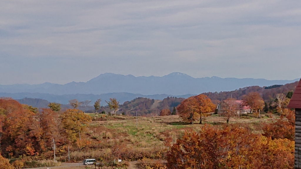 DSC_4441.JPG
