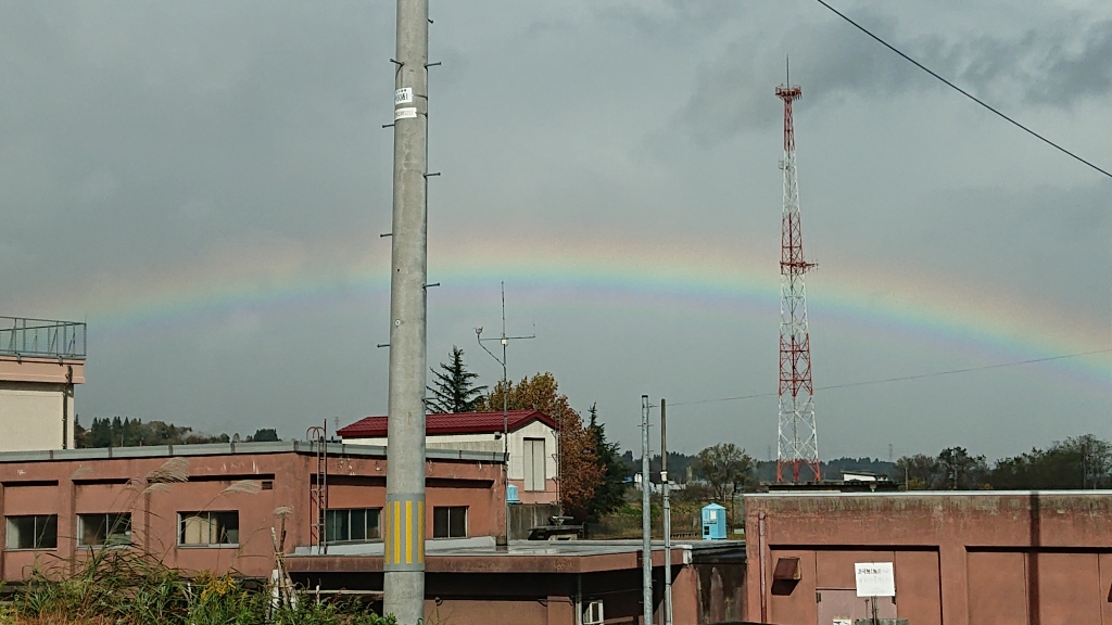 DSC_4456.JPG