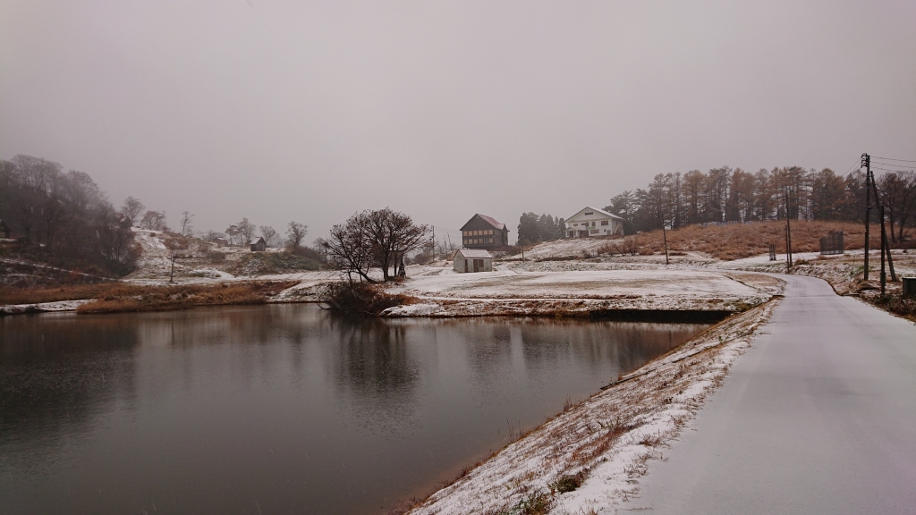 DSC_4488.JPG