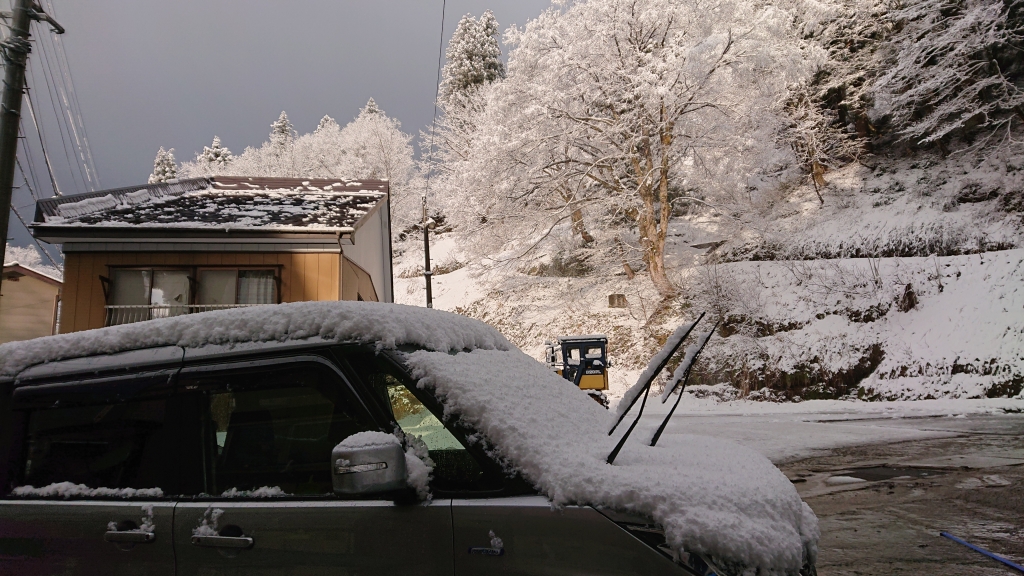 DSC_4943.JPG