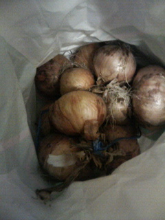 200906120008000.jpg