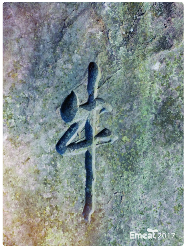 Emeat-blog-2017-01.jpg