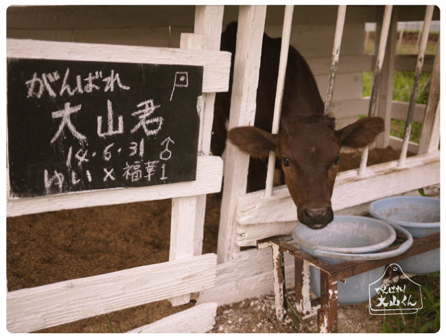 Emeat-blog-ganbare-02.jpg