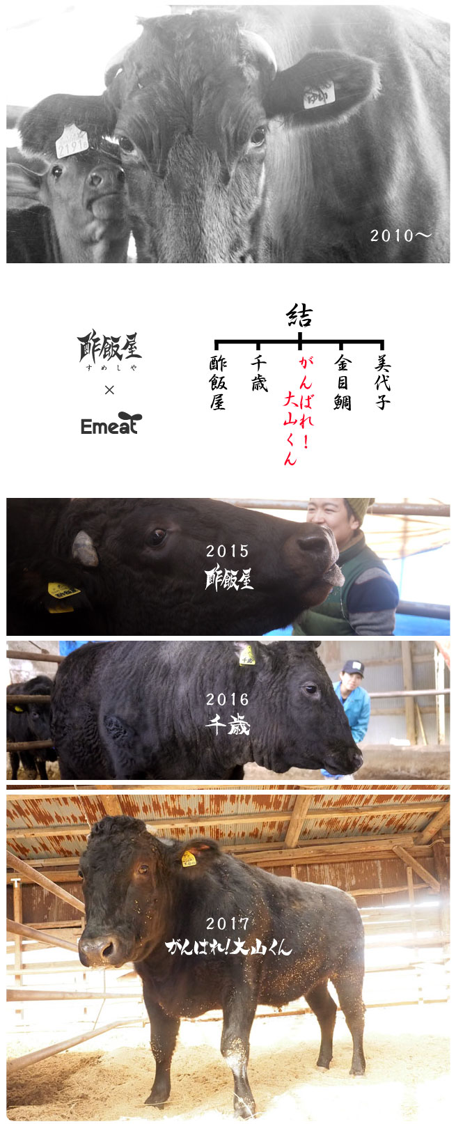 Emeat-blog-ooyama-21.jpg