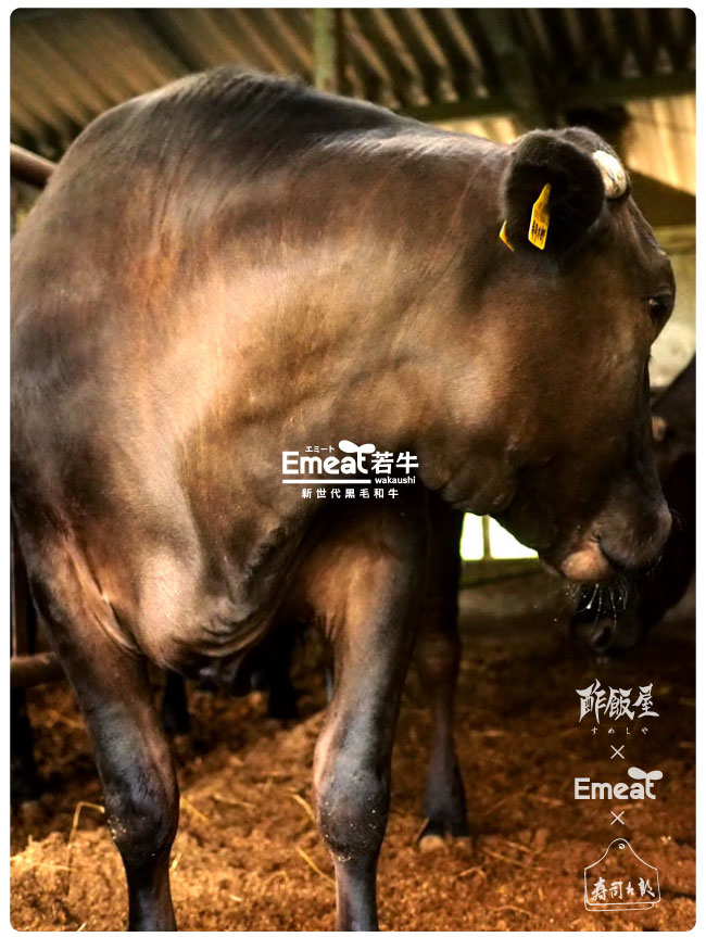 Emeat-blog-¼÷»ÊÂÀϺ-34.jpg