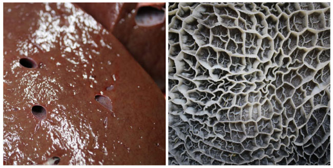 Emeat-blog-¼÷»ÊÂÀϺ-39.jpg