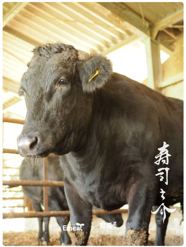 Emeat-blog-寿司之介-06.jpg