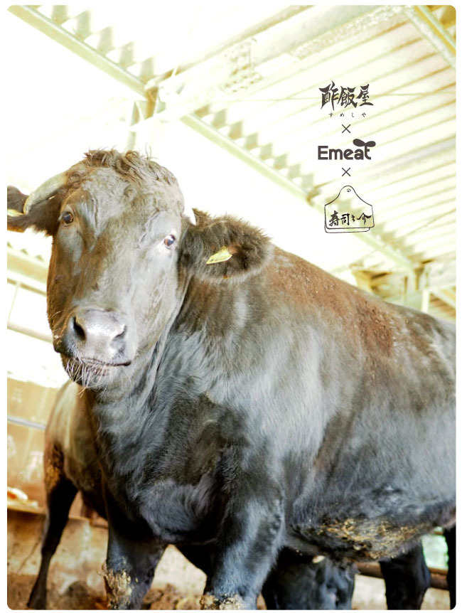 Emeat-blog-寿司之介-07.jpg