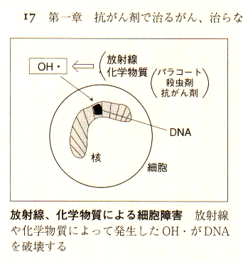 DNA破壊の要因→抗がん剤・放射線・パラコート・殺虫剤