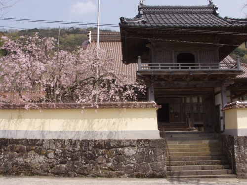 P4153593.JPG