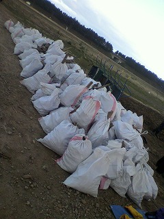 2011121114460000.jpg
