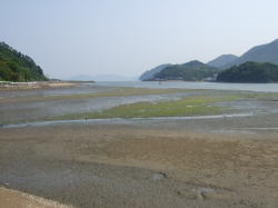 潮干狩り