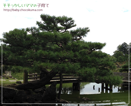 彦根城近くの美しい庭園