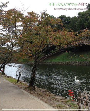 彦根城近くの美しい庭園
