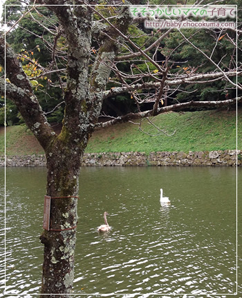 彦根城近くの美しい庭園