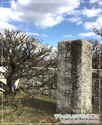 大阪城公園の梅林へ一歳の子どもと一緒に