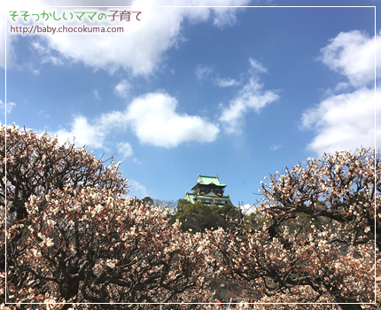 【大阪城公園の梅林】一歳の子どもと一緒に
