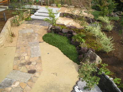 yamaguti_69.jpg