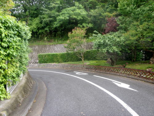 r3.jpg