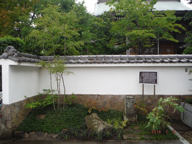 DSCF7324 (640x480).jpg