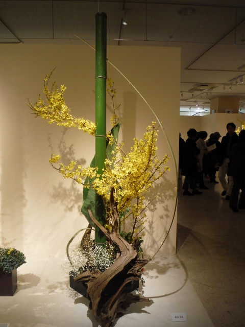 DSCF9742 (480x640).jpg