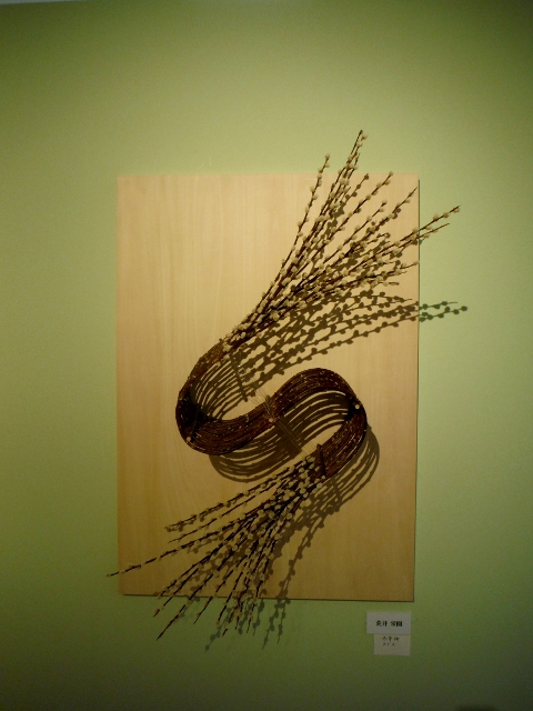 DSCF9745 (480x640).jpg
